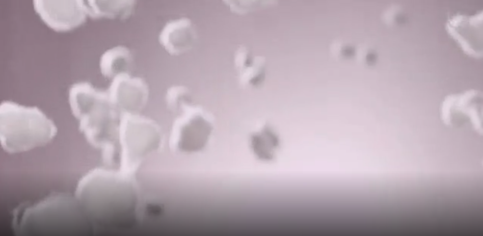 w66国际绒柔暖型内衣