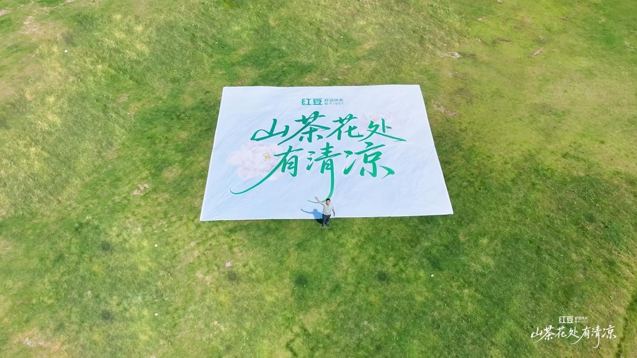 山茶花处有清凉1